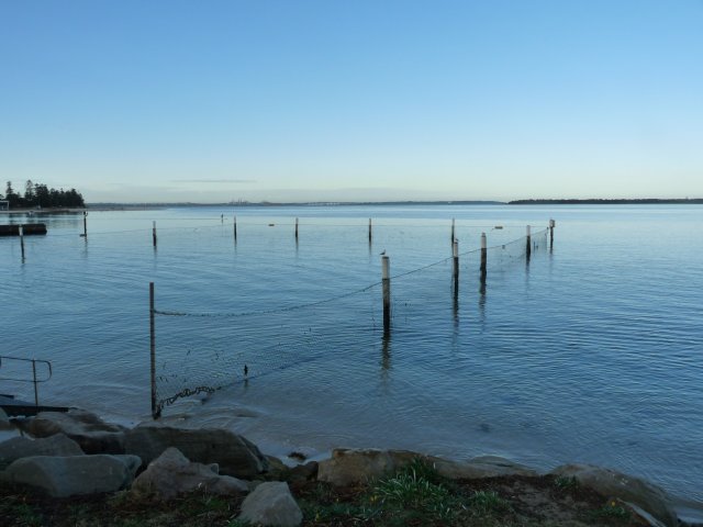 Remnants of Sans Souci Baths on Botany Bay, Sans Souci